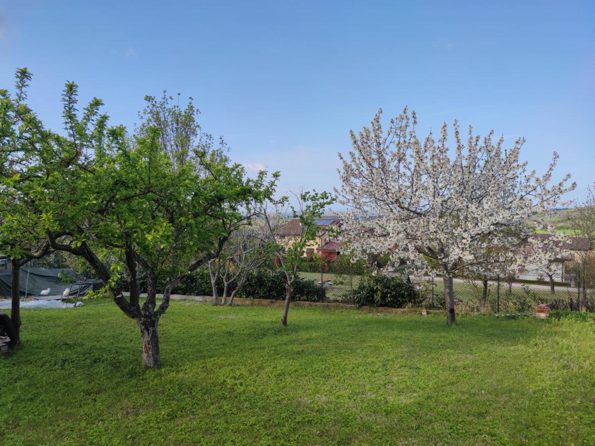 Apartamento Relax In Collina A Due Passi Dal Mare Torriana Exterior foto