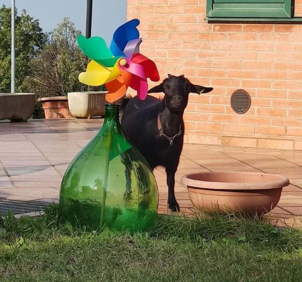 Apartamento Relax In Collina A Due Passi Dal Mare Torriana Exterior foto